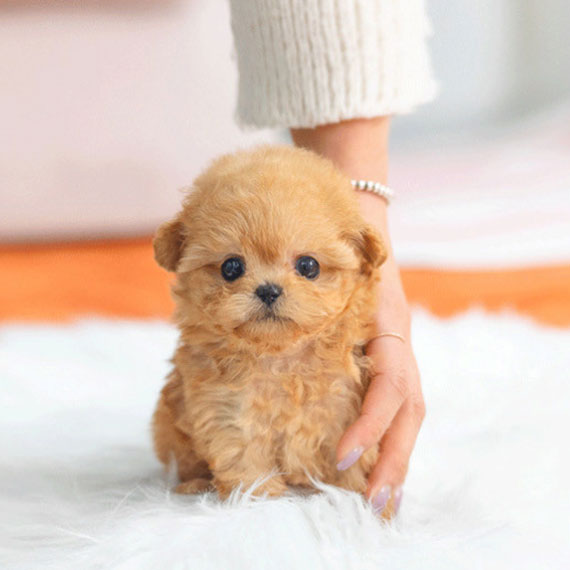 f7d50ebe2dec1ef8d91ee283c4620f90_1765106001_0964.jpg f7d50ebe2dec1ef8d91ee283c4620f90_1765106001_0964.jpg