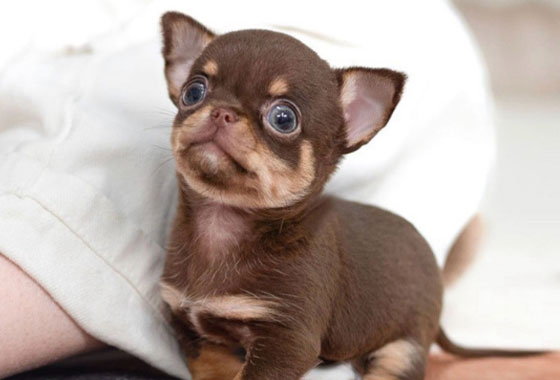 75bcadc840eb67ee16a5bf2a3182414c_1768802159_4618.jpg 75bcadc840eb67ee16a5bf2a3182414c_1768802159_4618.jpg