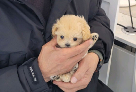 75bcadc840eb67ee16a5bf2a3182414c_1768811686_5215.jpg 75bcadc840eb67ee16a5bf2a3182414c_1768811686_5215.jpg