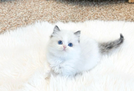 b40e876915543a4db43bb17198a15f6e_1767252963_4141.jpg b40e876915543a4db43bb17198a15f6e_1767252963_4141.jpg