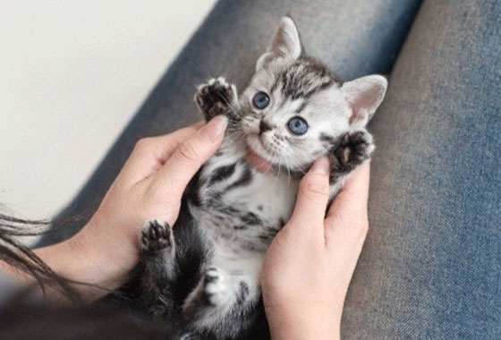 bb91cb317b7bfde3ddc51a4110885d37_1769070903_8557.jpg bb91cb317b7bfde3ddc51a4110885d37_1769070903_8557.jpg