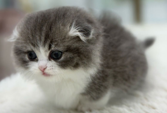 bb91cb317b7bfde3ddc51a4110885d37_1769071241_5513.jpg bb91cb317b7bfde3ddc51a4110885d37_1769071241_5513.jpg