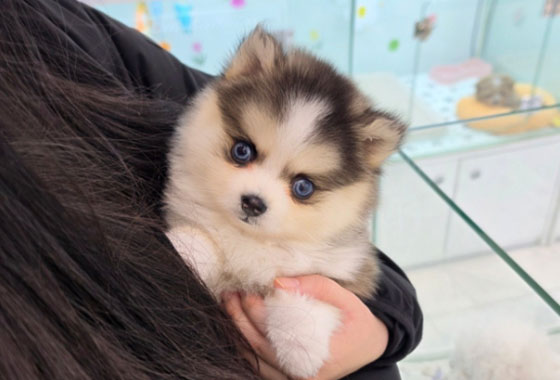 31f6b020e91f18415dba2426655f87c9_1774160973_1502.jpg 31f6b020e91f18415dba2426655f87c9_1774160973_1502.jpg